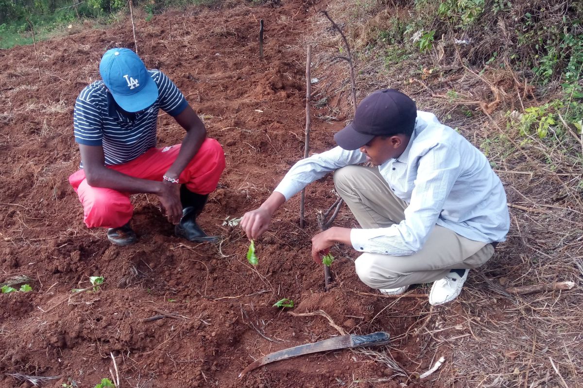 Kathurima Mwongera and partner work on the farm.jpg